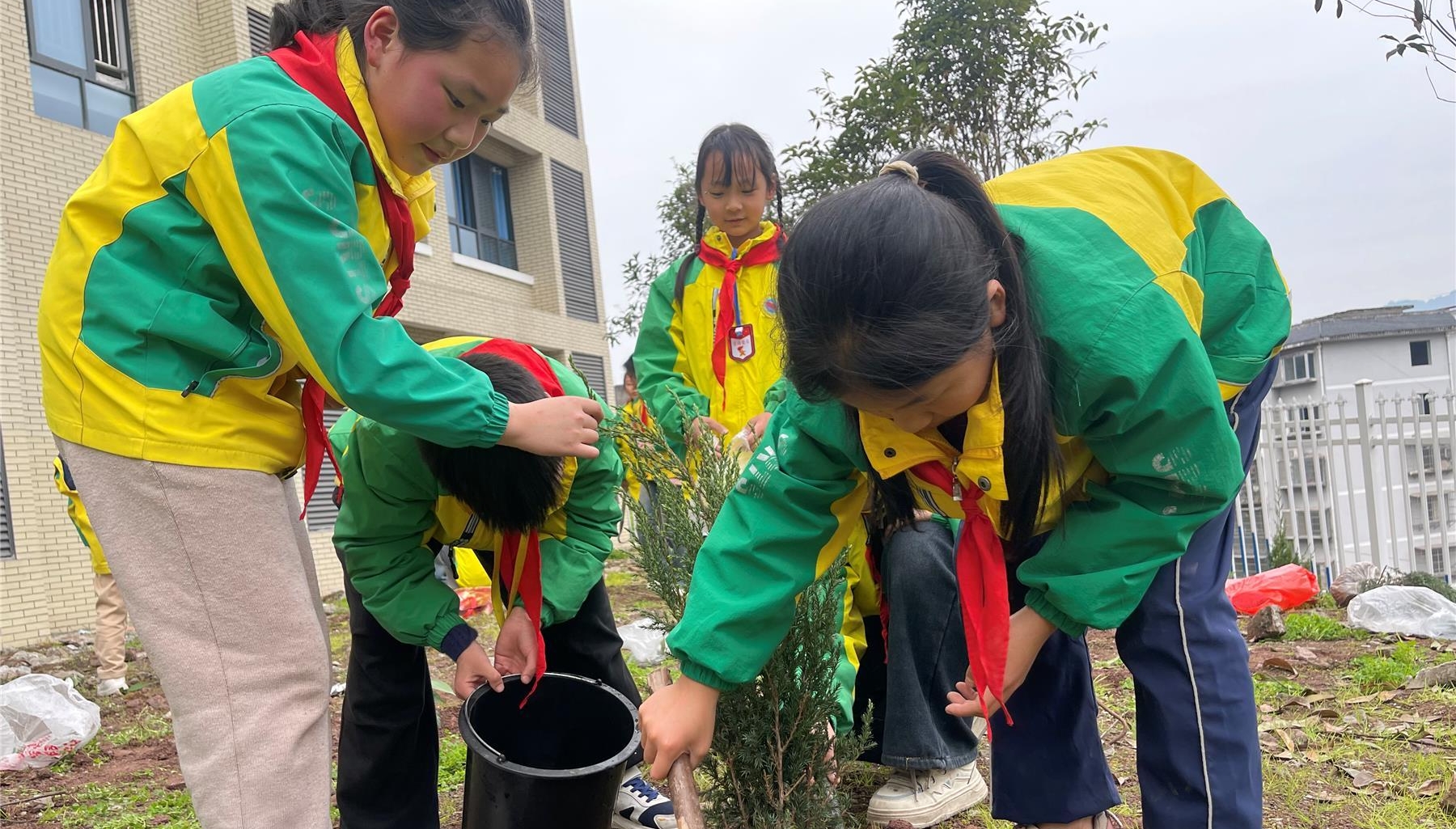  高陽小學(xué)開展植樹節(jié)實(shí)踐活動(dòng)